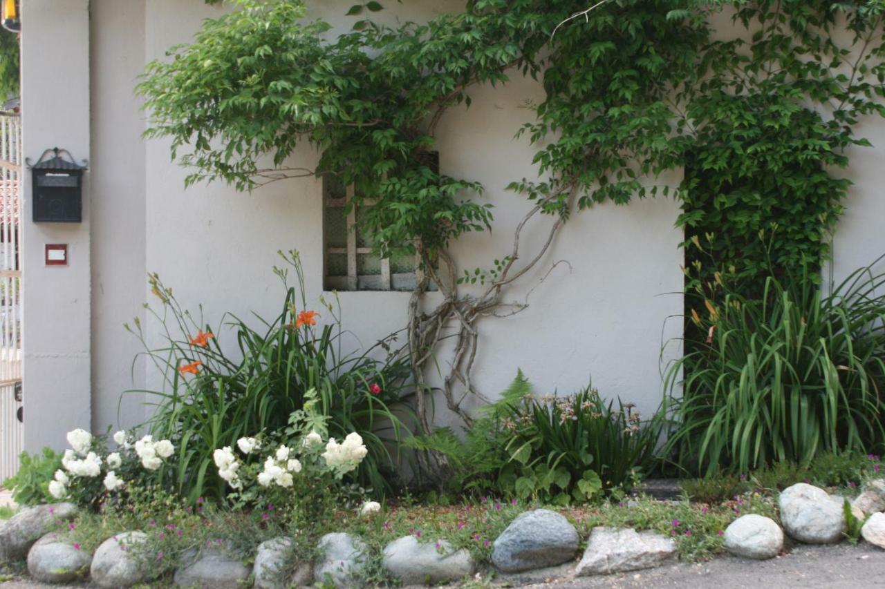 Guest House Al Devesio Rifreddo Exterior photo